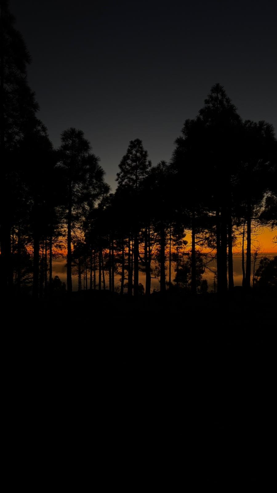 Áreas de intervención
