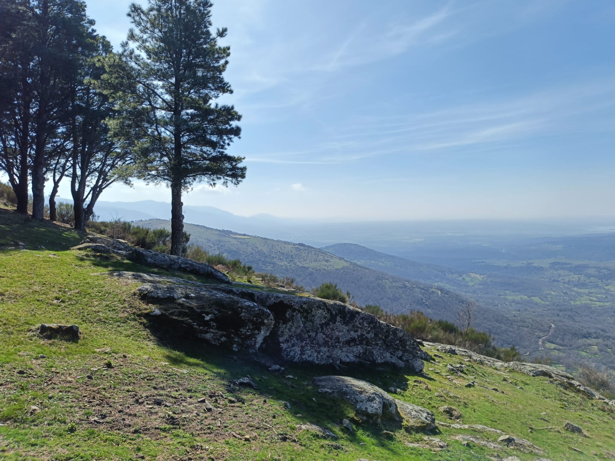 Espacio de trabajo terapéutico online